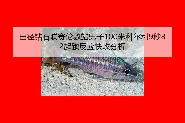 tian-jing-zuan-shi-lian-sai-lun-dun-zhan-nan-zi-mi-ke-er-li-miao-qi-pao-fan-ying-kuai-gong-fen-xi-3-542.jpg
