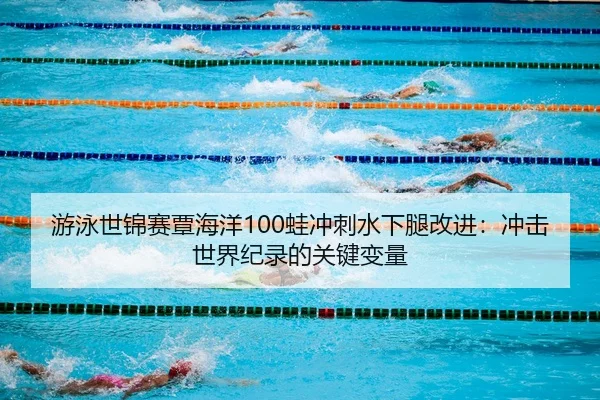 游泳世锦赛覃海洋100蛙冲刺水下腿改进：冲击世界纪录的关键变量